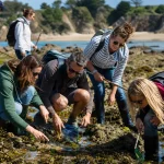 Pêche à pied en équipe : une activité originale et conviviale pour votre team building peche-a-pied-team-building-1790060622983